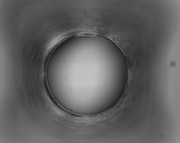 X0000090750005200708031618