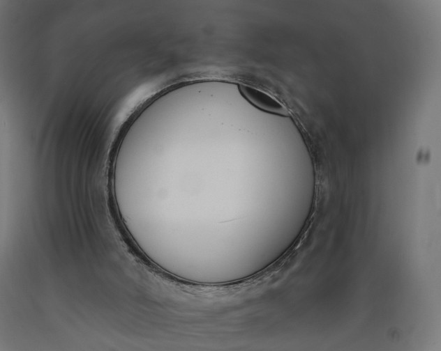 X0000090750006200708031618