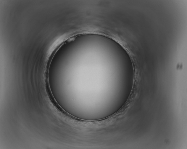 X0000090750007200708031618