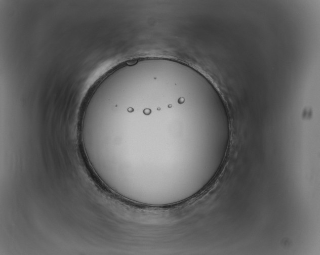 X0000090750008200708031618