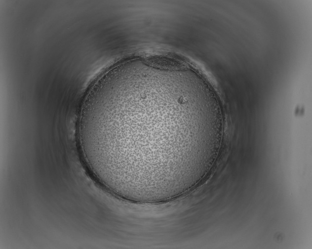 X0000090750010200708031618