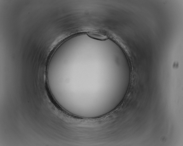 X0000090750011200708031618