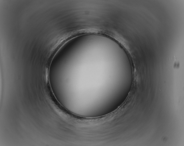 X0000090750013200708031618