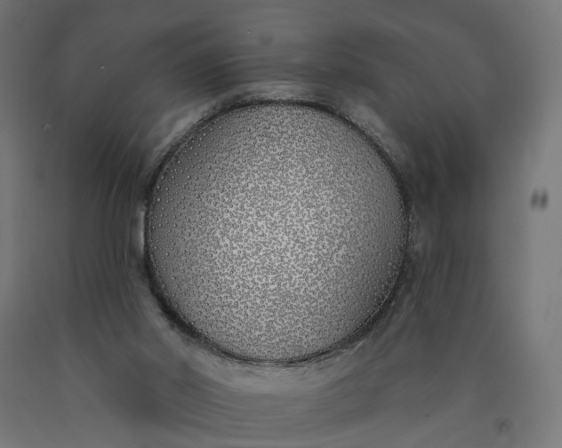 X0000090750014200708031618