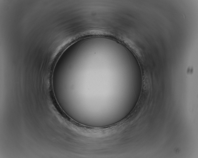 X0000090750015200708031618