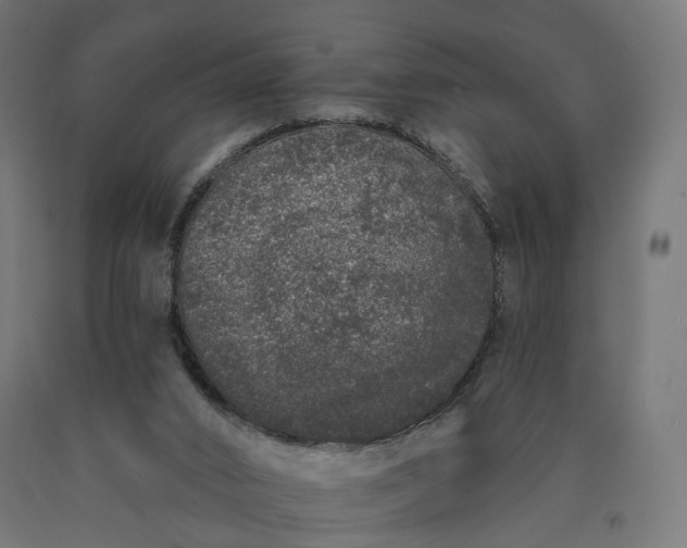 X0000090750016200708031618