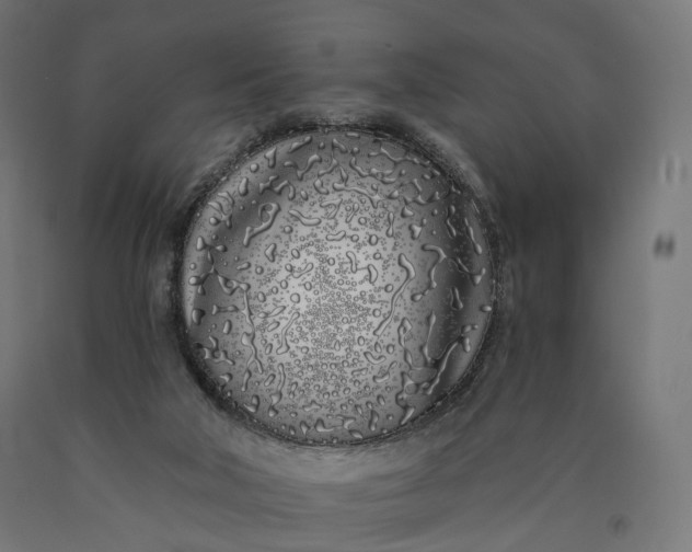 X0000090750018200708031618