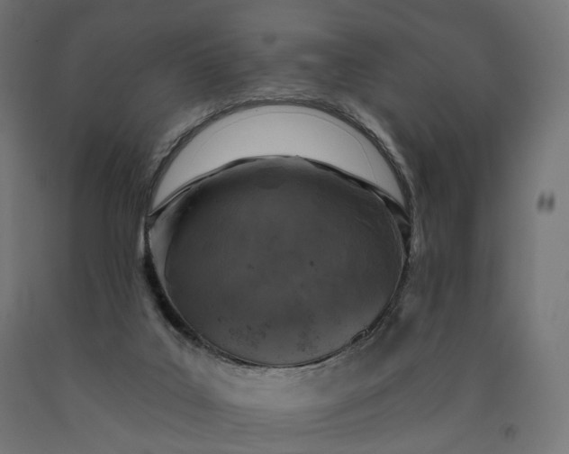 X0000090750019200708031618