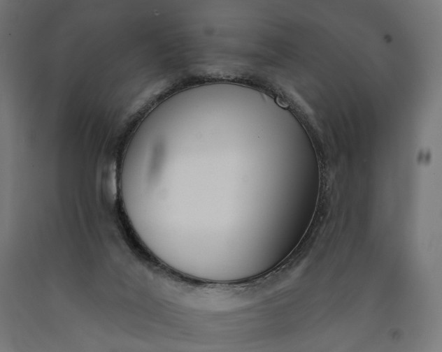 X0000090750020200708031618