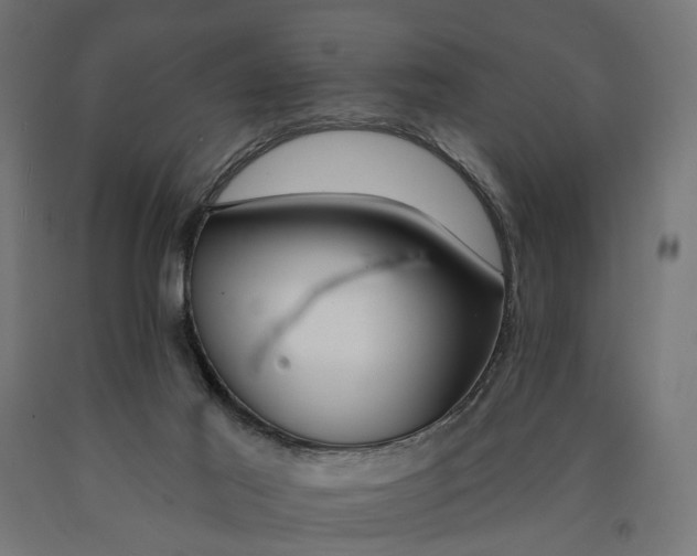 X0000090750021200708031618