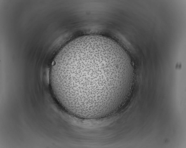 X0000090750022200708031618