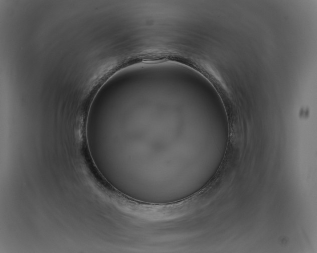 X0000090750023200708031618