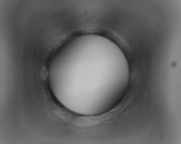 X0000090750025200708031618