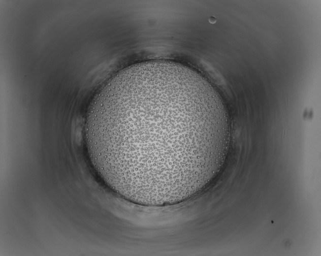 X0000090750026200708031618