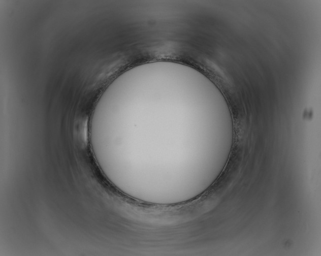 X0000090750028200708031618