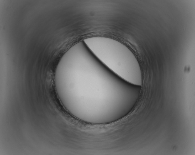 X0000090750029200708031618