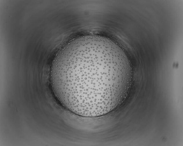 X0000090750030200708031618