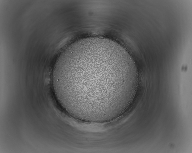 X0000090750032200708031618