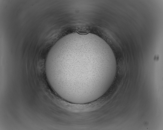 X0000090750034200708031618