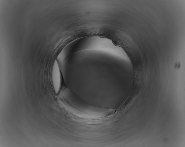 X0000090750035200708031618