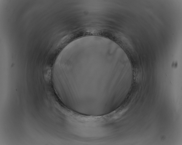 X0000090750036200708031618