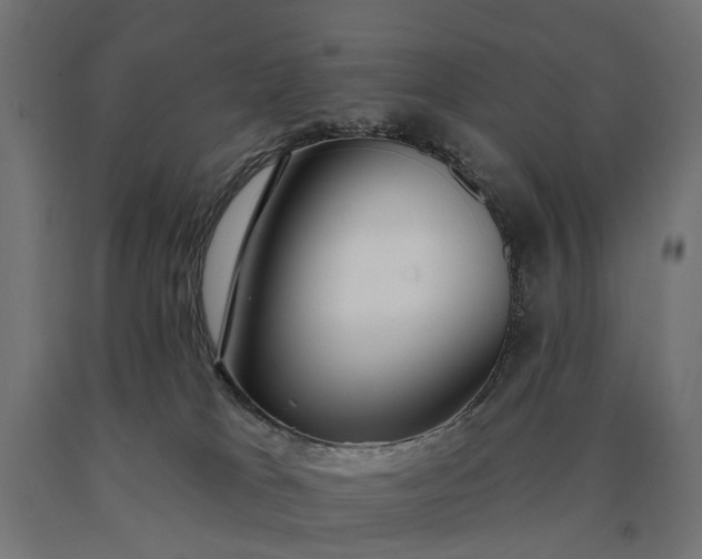 X0000090750037200708031618