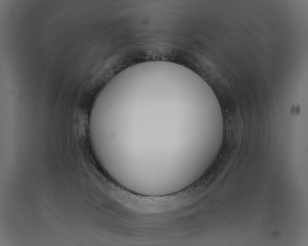 X0000090750038200708031618