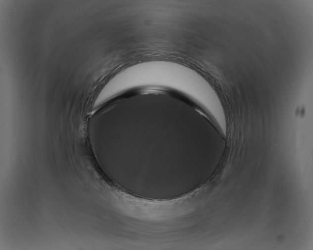 X0000090750039200708031618