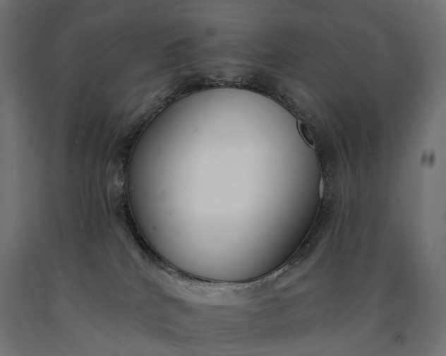 X0000090750040200708031618