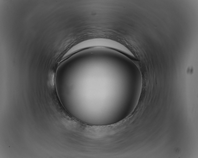 X0000090750041200708031617