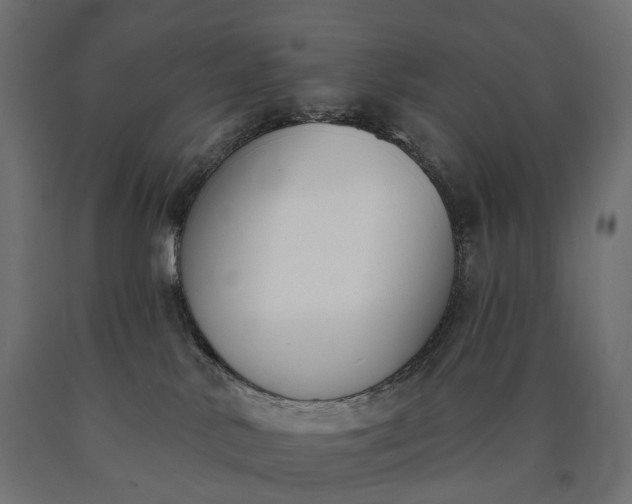 X0000090750042200708031617