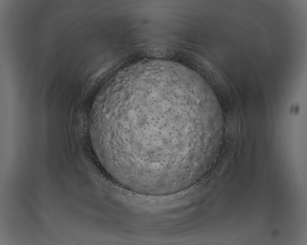 X0000090750043200708031617