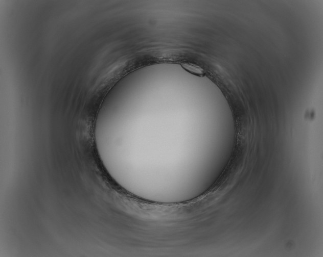 X0000090750044200708031617