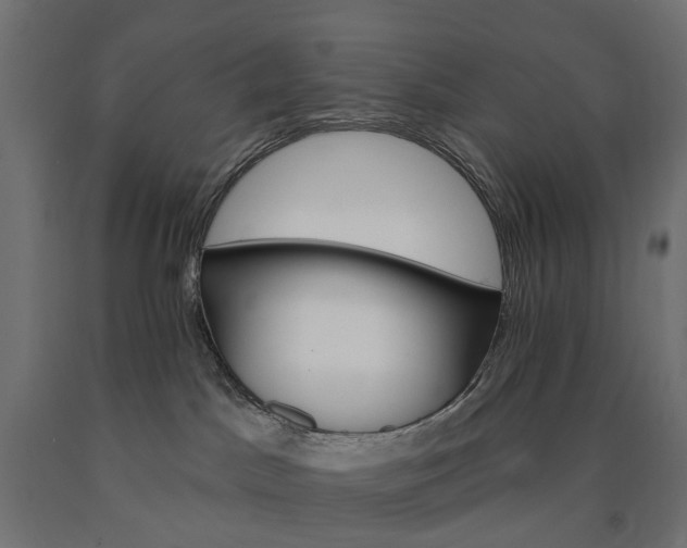 X0000090750045200708031617