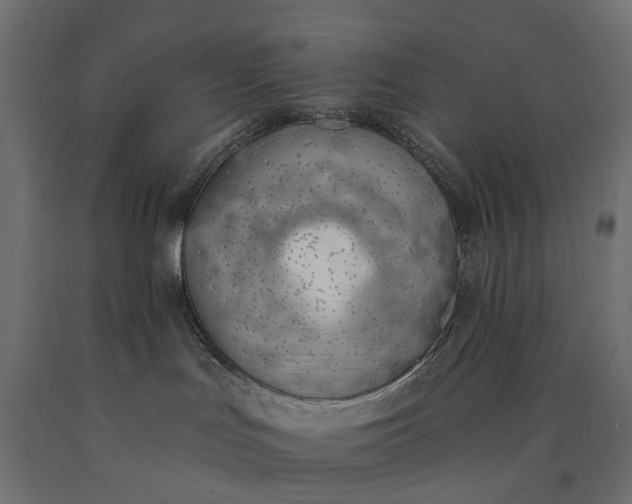 X0000090750047200708031617