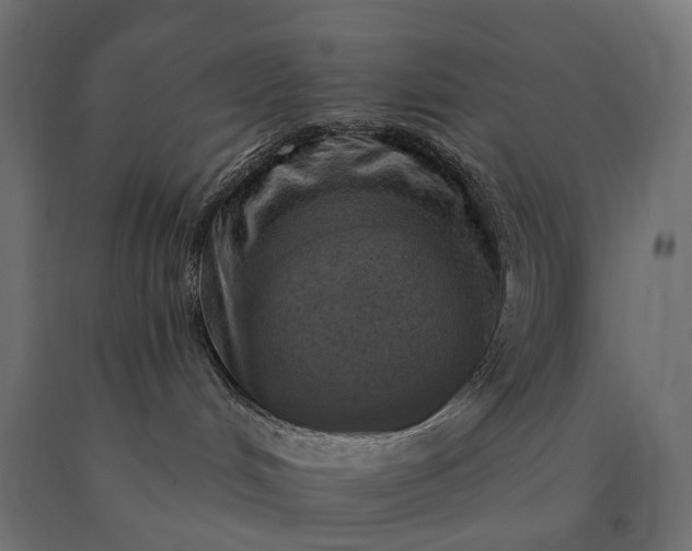 X0000090750048200708031617