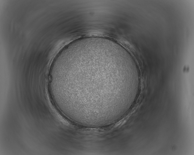 X0000090750049200708031617