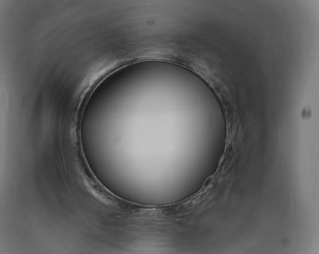 X0000090750050200708031617