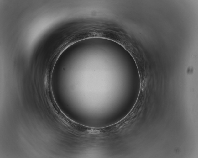 X0000090750052200708031617