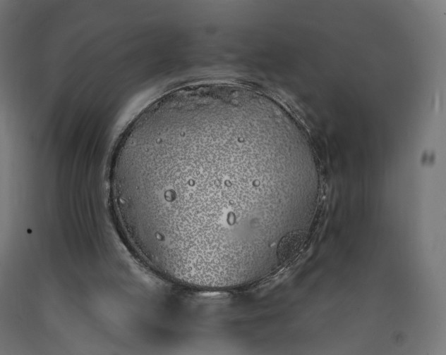 X0000090750053200708031617