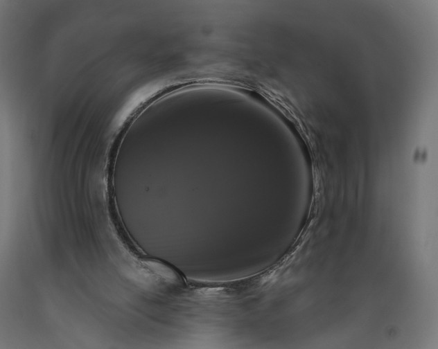 X0000090750054200708031617