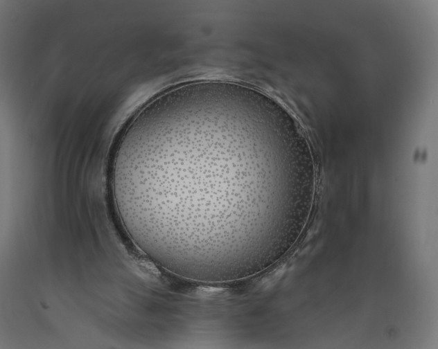 X0000090750055200708031617