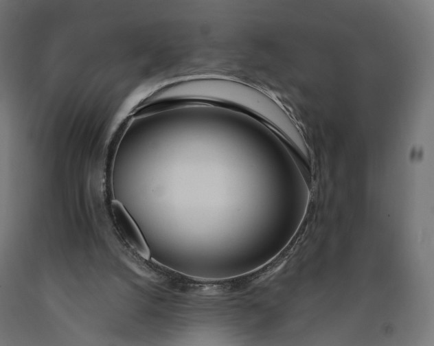 X0000090750056200708031617