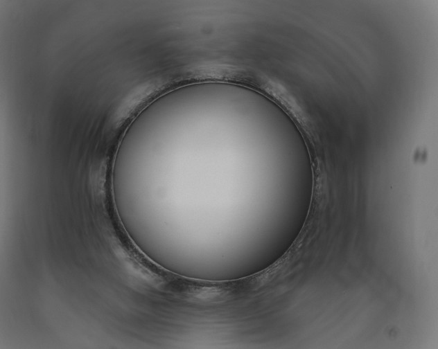 X0000090750058200708031617