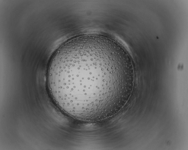 X0000090750059200708031617