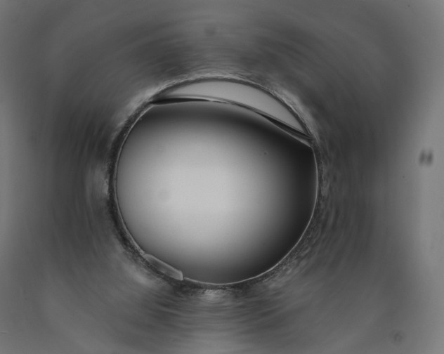 X0000090750060200708031617