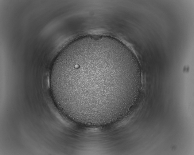 X0000090750061200708031617