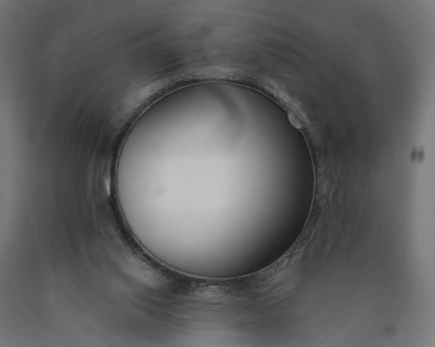 X0000090750062200708031617