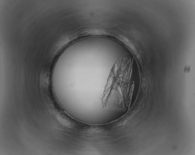 X0000090750063200708031617