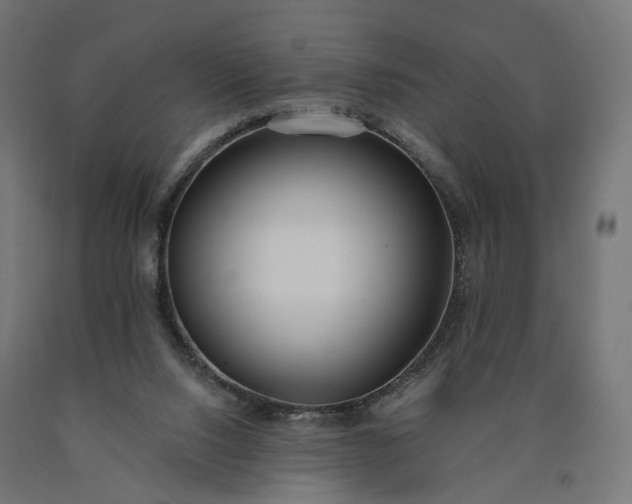 X0000090750064200708031617